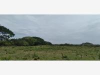 En venta o renta terreno de 100 has en Piedras Negras Veracruz En venta o renta terreno de 100 has en Piedras Negras Veracruz