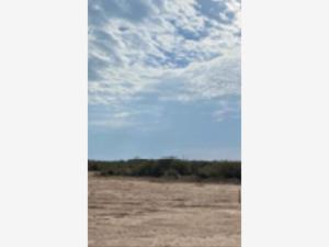Terreno en venta en Mieleras, Torreón, Coahuila de Zaragoza Terreno en venta en Mieleras, Torreón, Coahuila de Zaragoza