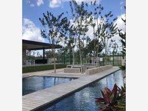 Terreno en venta en Conkal, Conkal, Yucatán Terreno en venta en Conkal, Conkal, Yucatán