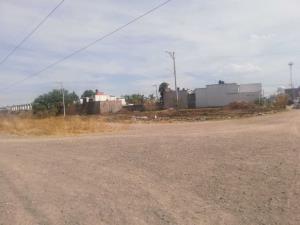 Terreno en venta en Rincón de los Arcos, Irapuato, Guanajuato Terreno en venta en Rincón de los Arcos, Irapuato, Guanajuato