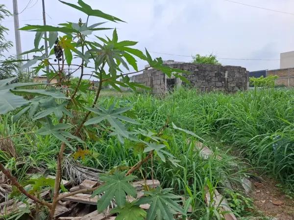 Terreno en venta en la col unidad Antorchista Alvarado, Veracruz - Excelente ubicación Terreno en venta en la col unidad Antorchista Alvarado, Veracruz - Excelente ubicación