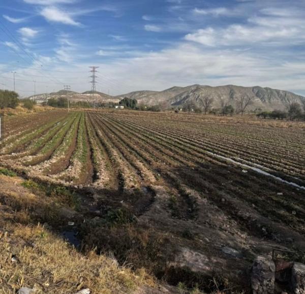 SE VENDE 9 HECTÁREAS VILLA JIAREZ LERDO DGO SE VENDE 9 HECTÁREAS VILLA JIAREZ LERDO DGO