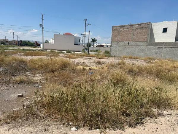 Terreno en renta en Las Quintas, Torreón, Coahuila de Zaragoza Terreno en renta en Las Quintas, Torreón, Coahuila de Zaragoza