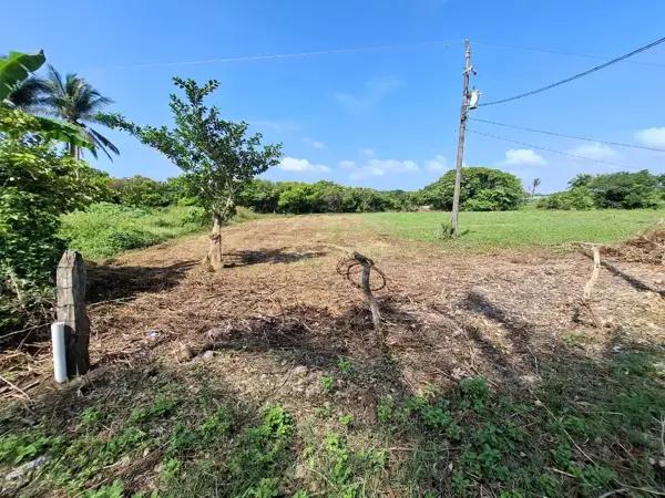 Terreno residencial en venta en El Zapote, Alvarado, Veracruz Terreno residencial en venta en El Zapote, Alvarado, Veracruz