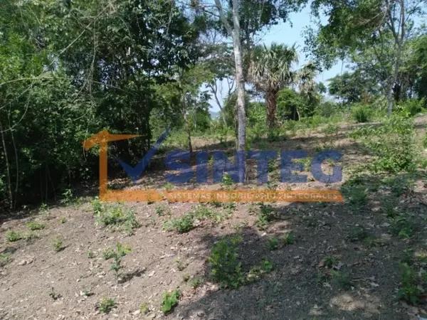 VENTA DE TERRENO 500 M2 COL. GPÈ VICTORIA, POZA RICA. VENTA DE TERRENO 500 M2 COL. GPÈ VICTORIA, POZA RICA.