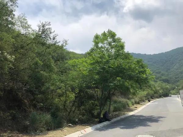 Terreno en venta en Renacimiento en Monterrey Terreno en venta en Renacimiento en Monterrey