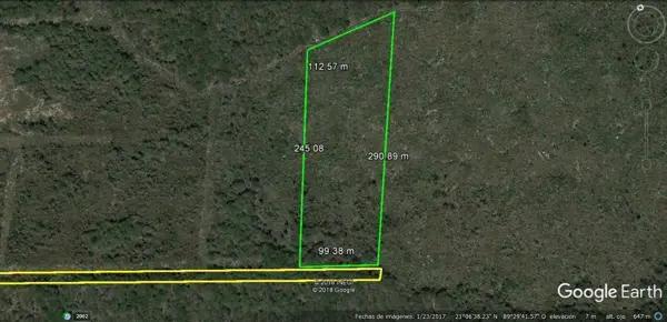 TERRENO EN VENTA EN MERIDA DE 2.6 HECTÁREAS CONKAL TERRENO EN VENTA EN MERIDA DE 2.6 HECTÁREAS CONKAL