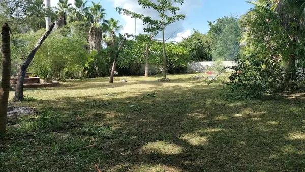 TERRENO EN XCUYUN EN VENTA TERRENO EN XCUYUN EN VENTA