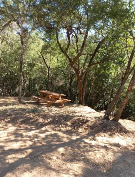 Terreno Campestre en Venta en Montemorelos Terreno Campestre en Venta en Montemorelos