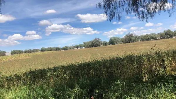 Terreno en Venta en Zumpango Terreno en Venta en Zumpango