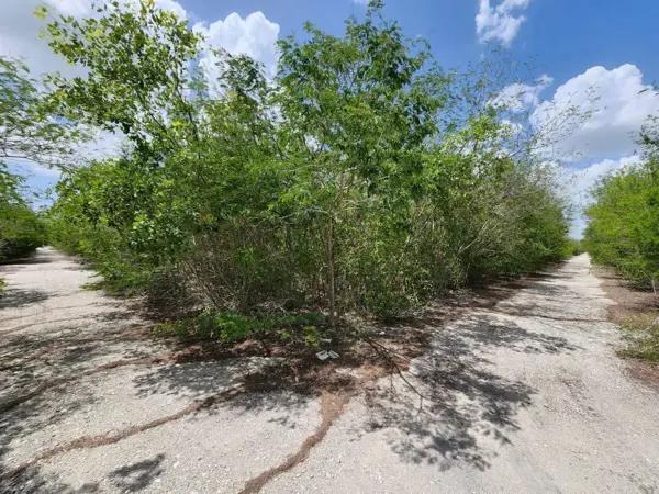 Terreno de 1 Hectárea en Venta, Kikteil, Mérida, Yucatán Terreno de 1 Hectárea en Venta, Kikteil, Mérida, Yucatán