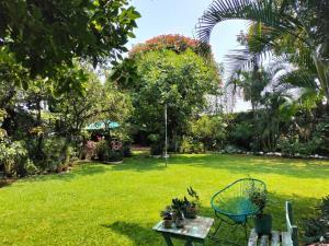 BELLISIMA QUINTA EN VENTA JARDIN CON ARBOLES FRUTALES BELLISIMA QUINTA EN VENTA JARDIN CON ARBOLES FRUTALES