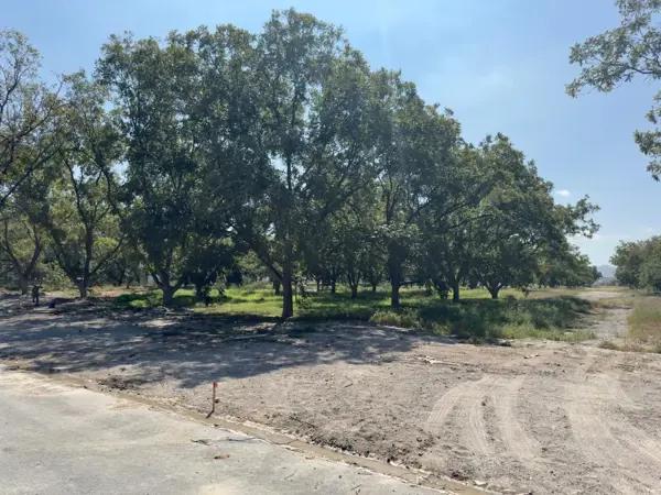 Terreno en venta en Parras, Parras, Coahuila de Zaragoza Terreno en venta en Parras, Parras, Coahuila de Zaragoza