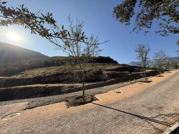TERRENO EN VENTA FRACCIONAMIENTO LAS ESTANCIAS CARRETERA NACIONAL MONTERREY TERRENO EN VENTA FRACCIONAMIENTO LAS ESTANCIAS CARRETERA NACIONAL MONTERREY