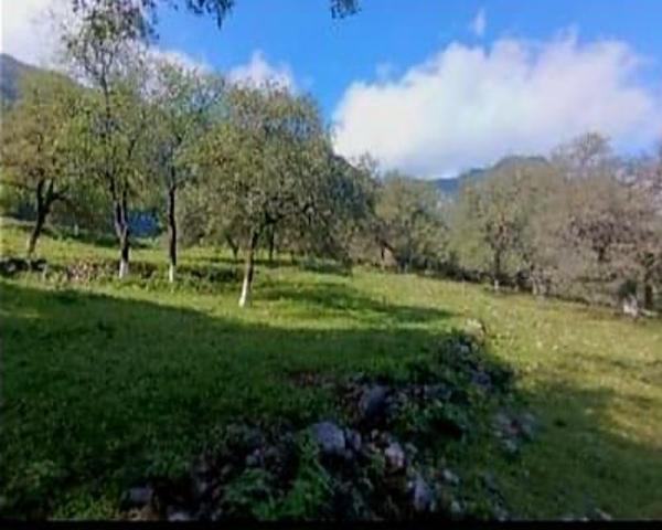 TERRENO CAMPESTRE/RESIDENCIAL PREMIUM EN VENTA EN SANTIAGO TERRENO CAMPESTRE/RESIDENCIAL PREMIUM EN VENTA EN SANTIAGO