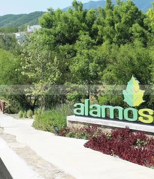 Alamo Sur Alamo Sur