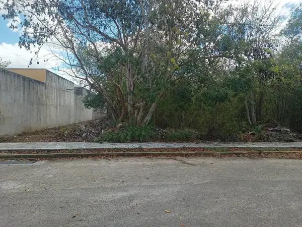 Terreno en venta en Cholul – Zona Viladiu Terreno en venta en Cholul – Zona Viladiu