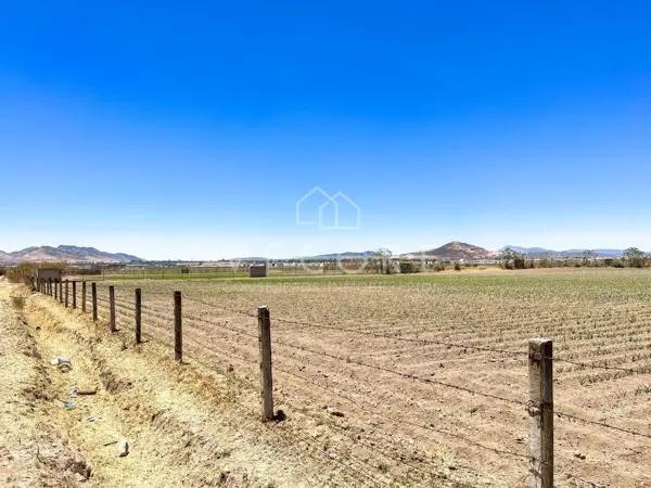 TERRENO PARA DESARROLLAR EN VENTA CERCA DE "PLAZA VD CALANDRIAS", ZAPOPAN TERRENO PARA DESARROLLAR EN VENTA CERCA DE "PLAZA VD CALANDRIAS", ZAPOPAN