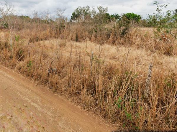 Terreno en venta, Aldama, Tamaulipas Terreno en venta, Aldama, Tamaulipas