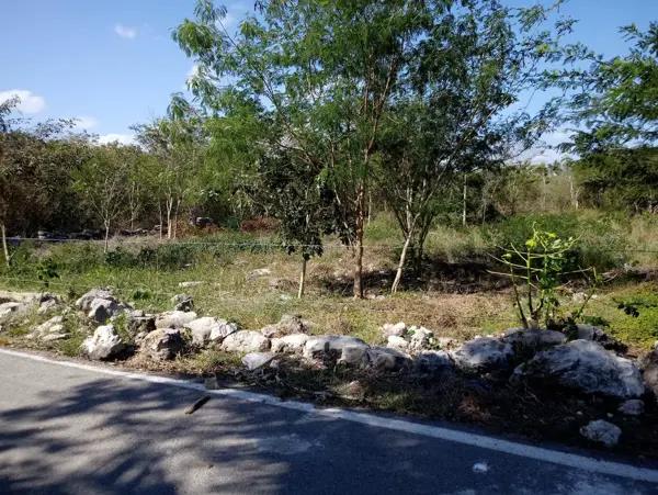 EXCELENTE LOTE DE TERRENO DE 1/2 HA EN VENTA MUY BIEN UBICADO EN KOMCHEN, YUCATAN EXCELENTE LOTE DE TERRENO DE 1/2 HA EN VENTA MUY BIEN UBICADO EN KOMCHEN, YUCATAN