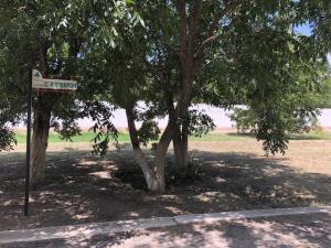 Terreno en venta en San Armando, Torreón, Coahuila de Zaragoza Terreno en venta en San Armando, Torreón, Coahuila de Zaragoza