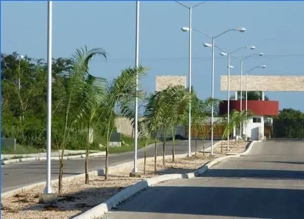 Lote Residencial en Venta Privada Paseos del Mayab, Conkal, Yucatán. Lote Residencial en Venta Privada Paseos del Mayab, Conkal, Yucatán.
